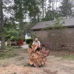 Bild von Dixon Trees