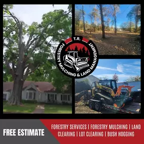 Bild von T.R. Forestry Mulching and Land Management