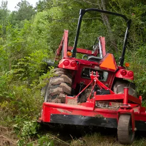 Bild von T.R. Forestry Mulching and Land Management