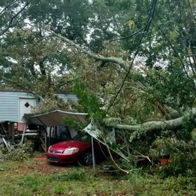 Bild von Twin Oaks Tree Service, LLC