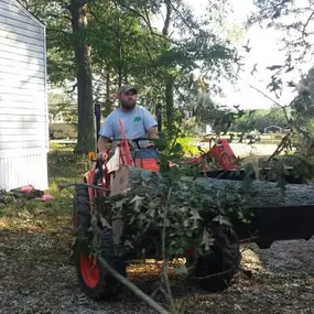 Bild von Twin Oaks Tree Service, LLC