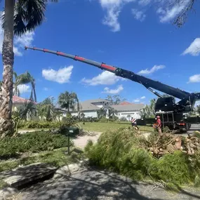 Bild von Jerry Riggers Crane and Tree