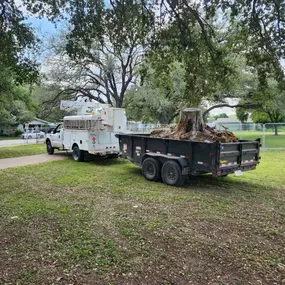 Bild von Tree Care Express and Services