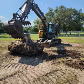 Bild von Tree Care Express and Services