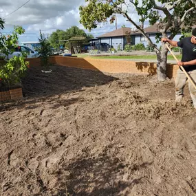 Bild von Tree Care Express and Services