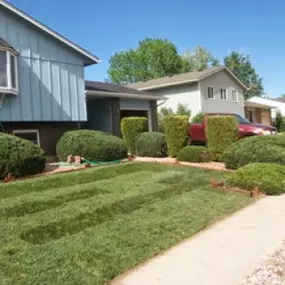 Bild von Wright Tree, Lawn and Landscape Care