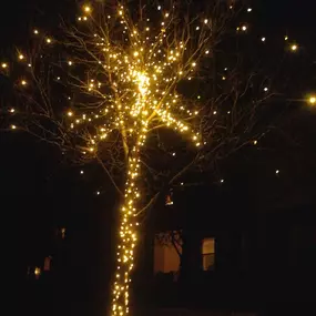 Bild von Wright Tree, Lawn and Landscape Care