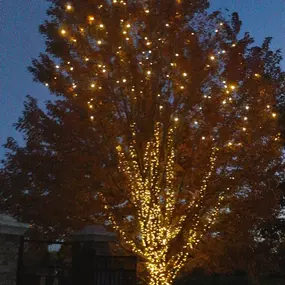 Bild von Wright Tree, Lawn and Landscape Care