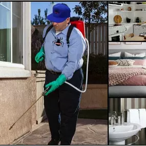 Bild von Villalobos Pest Control