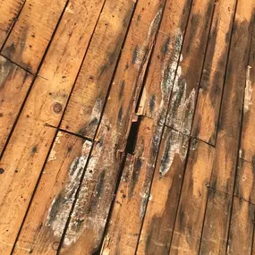 Bild von West Roofing