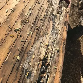 Bild von West Roofing