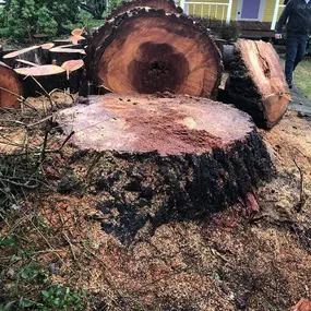 Bild von J & J Stump Grinding