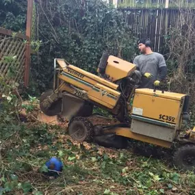 Bild von J & J Stump Grinding