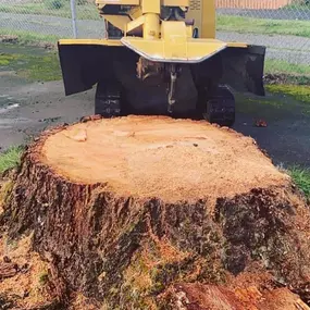 Bild von J & J Stump Grinding