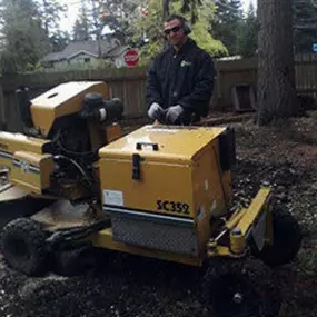 Bild von J & J Stump Grinding