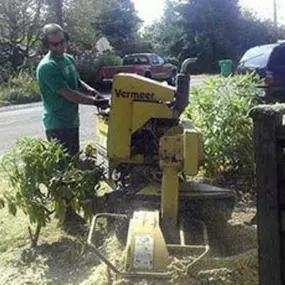 Bild von J & J Stump Grinding
