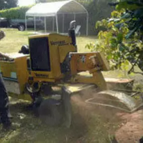 Bild von J & J Stump Grinding