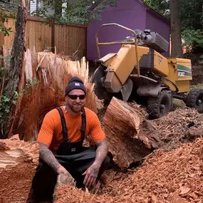 Bild von J & J Stump Grinding