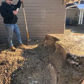 Bild von J & J Stump Grinding