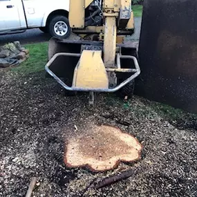 Bild von J & J Stump Grinding