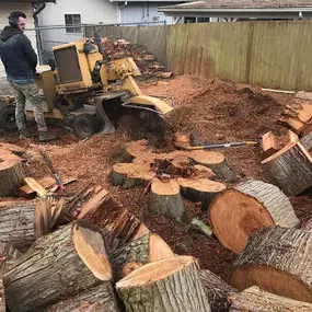 Bild von J & J Stump Grinding