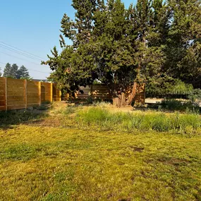 Bild von HIGH PINE CONSTRUCTION