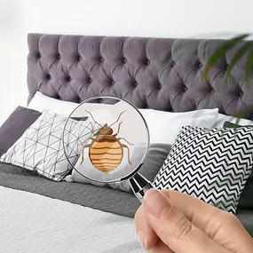 Bild von WarZone Pest Control