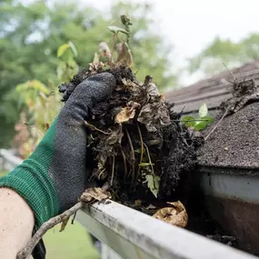 Bild von Two Men and a Gutter