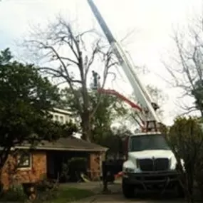 Bild von Judice Dirt & Demolition