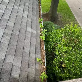 Bild von JJC Window Cleaning