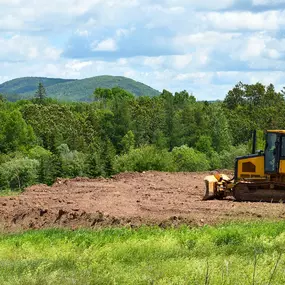 Bild von Jose Forestry Mulching and Land Clearing