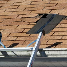 Bild von P&G Roofing Construction