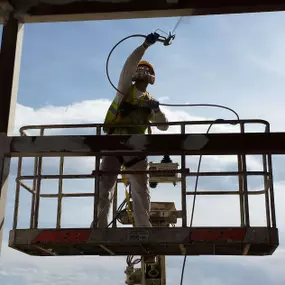 Bild von Pro-Line Painting