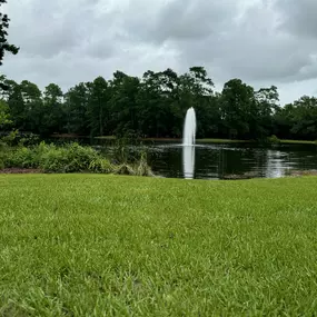 Bild von OCD and Anxiety of The Woodlands, PLLC