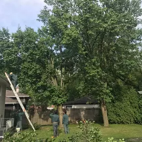 Bild von L & S Landscaping