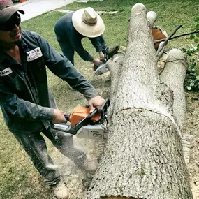 Bild von L & S Landscaping