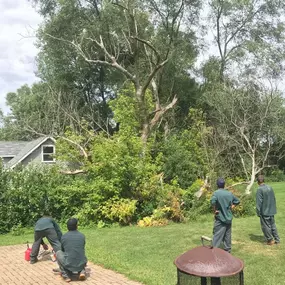Bild von L & S Landscaping