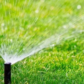 Bild von Garden Irrigation