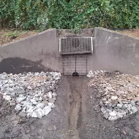 Bild von Garden Irrigation