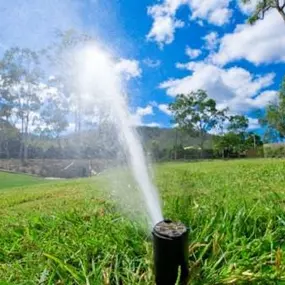 Bild von Garden Irrigation