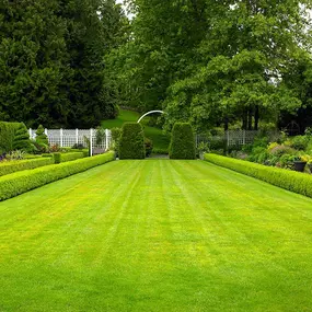 Bild von Garden Irrigation