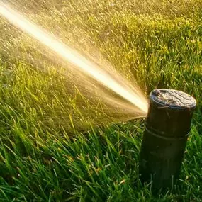 Bild von Garden Irrigation