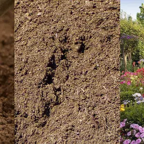Bild von The Dirt Man