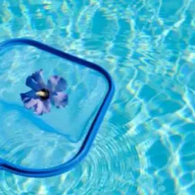 Bild von Stoner Family Spa and Pool
