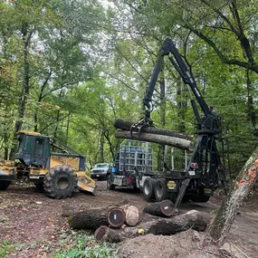 Bild von Grade Timber