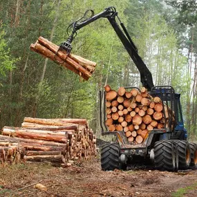 Bild von Grade Timber