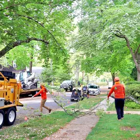Bild von Galvan Tree Service