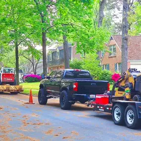 Bild von Galvan Tree Service