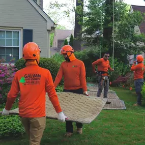 Bild von Galvan Tree Service