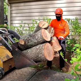 Bild von Galvan Tree Service